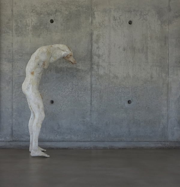 Daniel Blom, WOLF, 2006