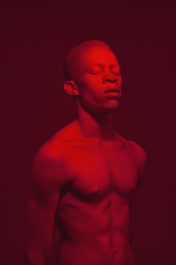 Justin Dingwall, CERASINUS, 2015