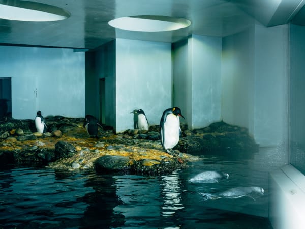 Nikita Teryoshin, Life Sentence 20, 2023