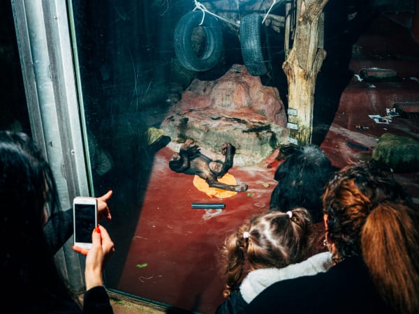 Nikita Teryoshin, Life Sentence 15, 2023