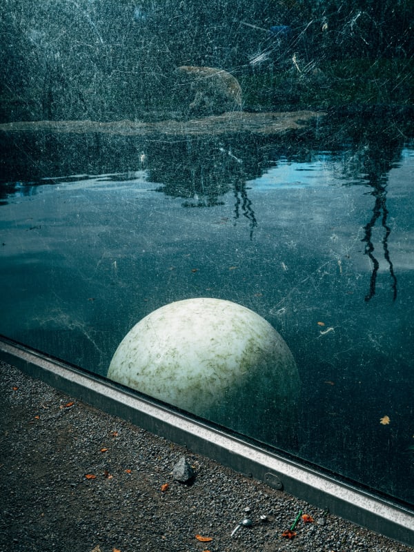 Nikita Teryoshin, Life Sentence 18, 2023