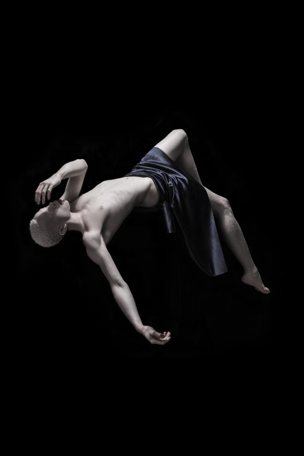 Justin Dingwall, RHAPSODY II, 2015