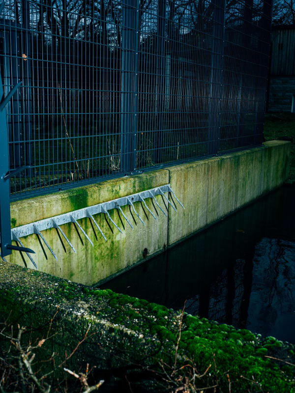 Nikita Teryoshin, Life Sentence 22, 2023