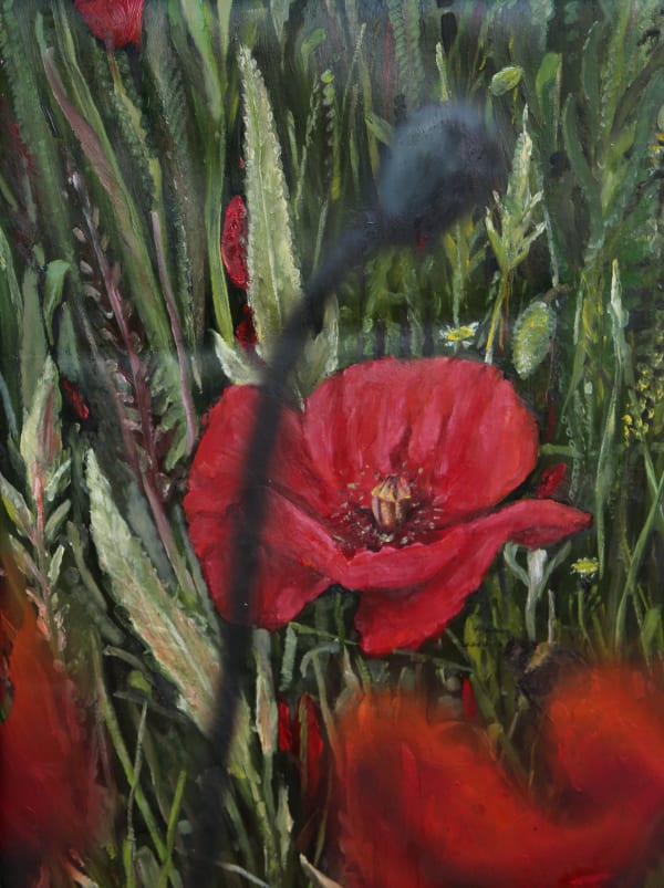 Tom Solty, Mohn in der Blüte, 2022