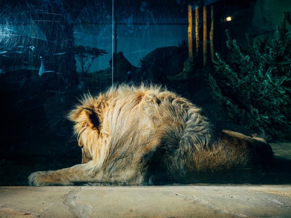 Nikita Teryoshin, Life Sentence 17, 2023