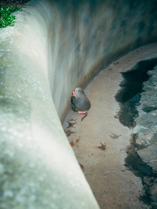 Nikita Teryoshin, Life Sentence 08, 2023