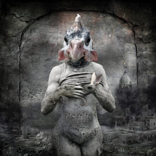 Marcin Owczarek, CASSANDRA, 2012