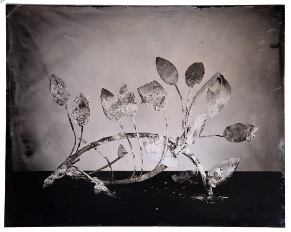 Burnt Memory: Archaeology from a Climate Emergency