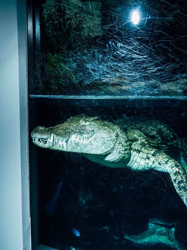 Nikita Teryoshin, Life Sentence 06, 2023