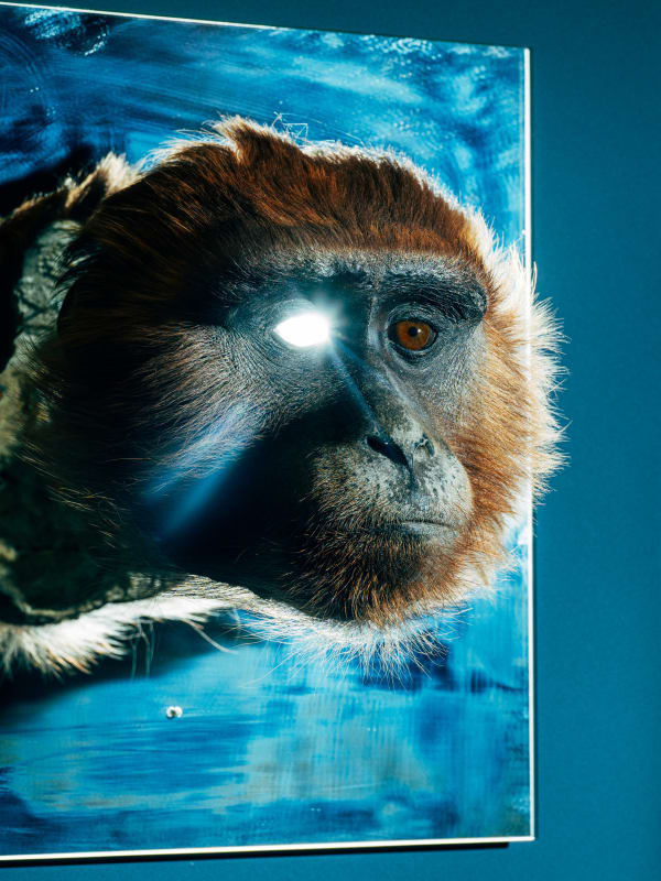 Nikita Teryoshin, Life Sentence 16, 2023