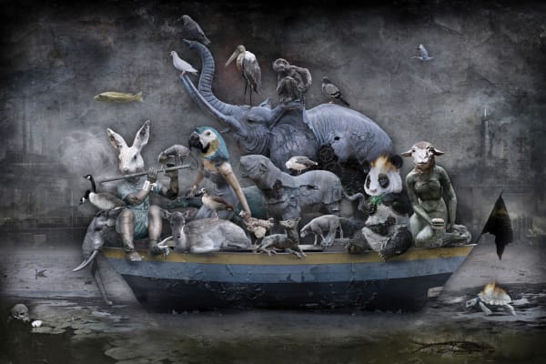 Marcin Owczarek, PARADISE LOST, 2015