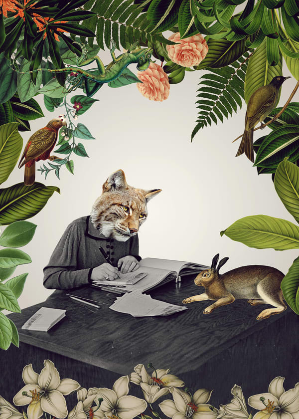 Marcin Owcarek, SOUL DOCTOR, 2019