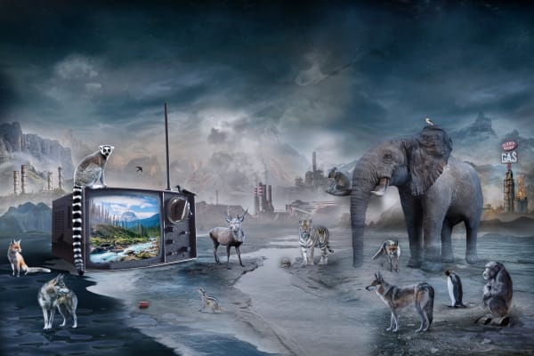 Marcin Owczarek, PARADISE LOST II, 2020