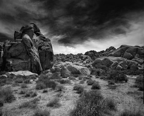 Gordon Clark, Plate 7, 2020