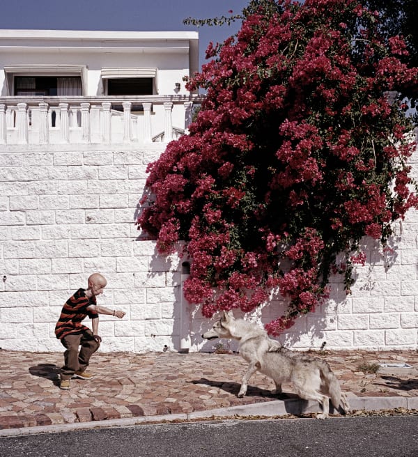 Gordon Clark, WHISTLING AT THE WOLF, 2009