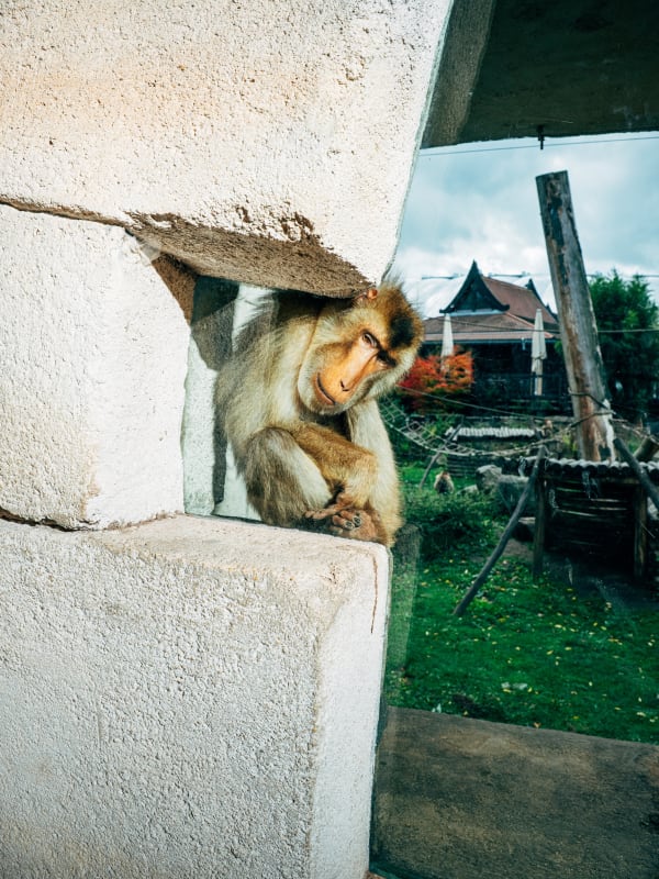 Nikita Teryoshin, Life Sentence 09, 2023