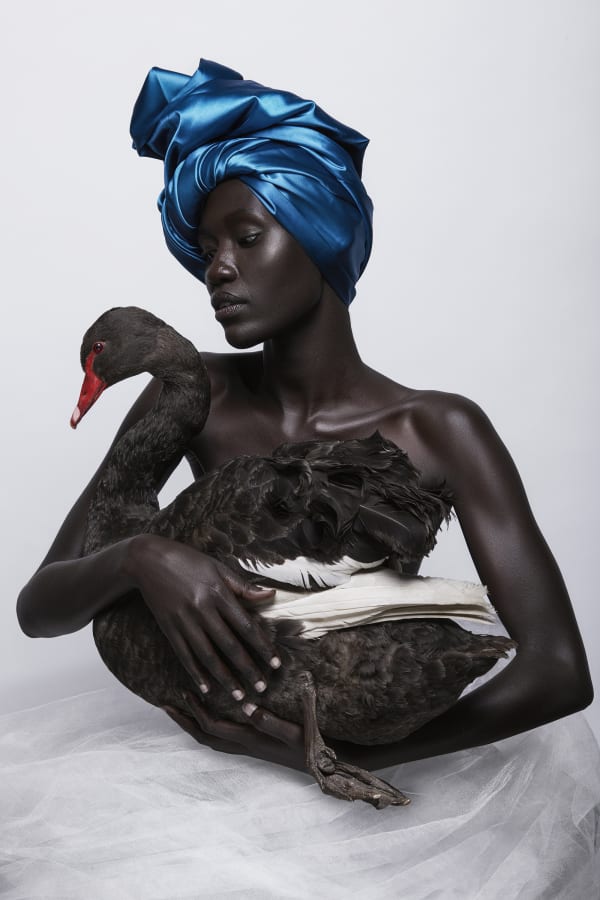 Justin Dingwall, CALL OF THE SIREN II, 2016