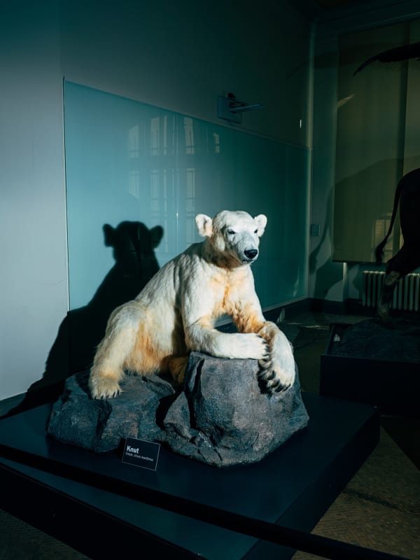 Nikita Teryoshin, Life Sentence 23, 2023