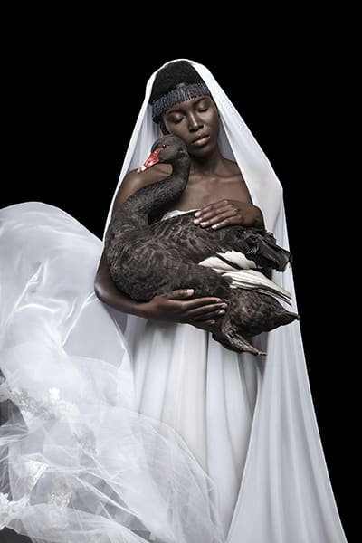 Justin Dingwall, EPHEMERAL, 2016