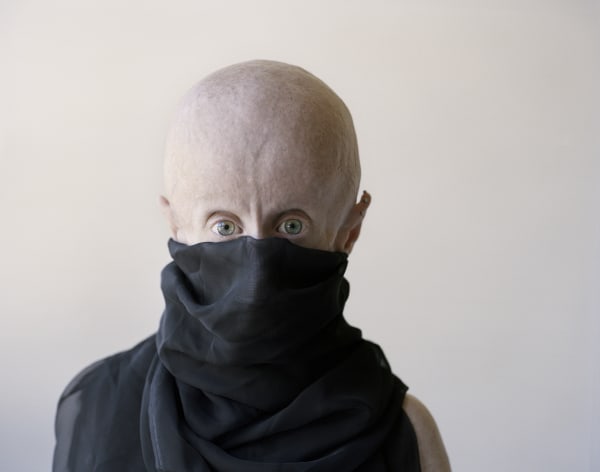 Gordon Clark, VEILED, 2009