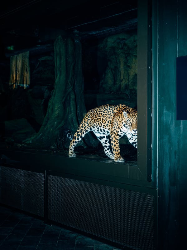 Nikita Teryoshin, Life Sentence 11, 2023