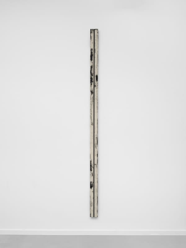 Laura Sachs, II 02410, 2023