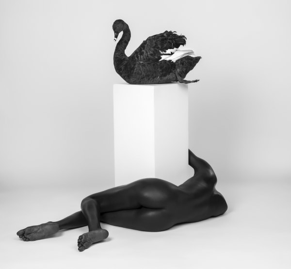 Justin Dingwall, ARMATURE II, 2016