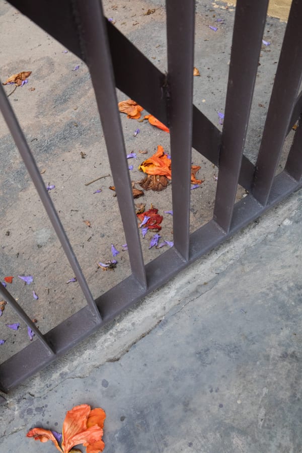 Lukas Korschan, Metal Gate, 2021