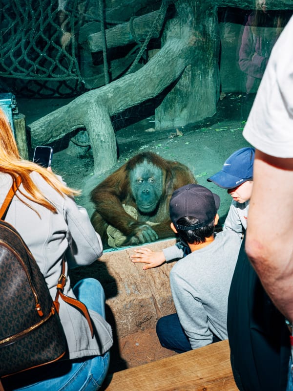 Nikita Teryoshin, Life Sentence 02, 2023