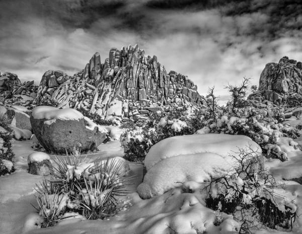 Gordon Clark, Plate 61, 2020