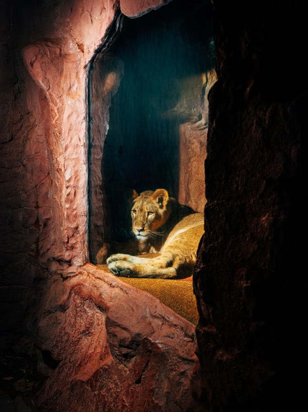 Nikita Teryoshin, Life Sentence 05, 2023