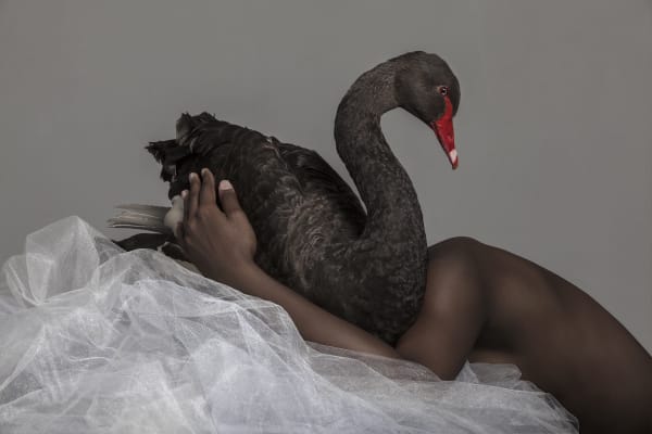 Justin Dingwall, TARGET, 2016