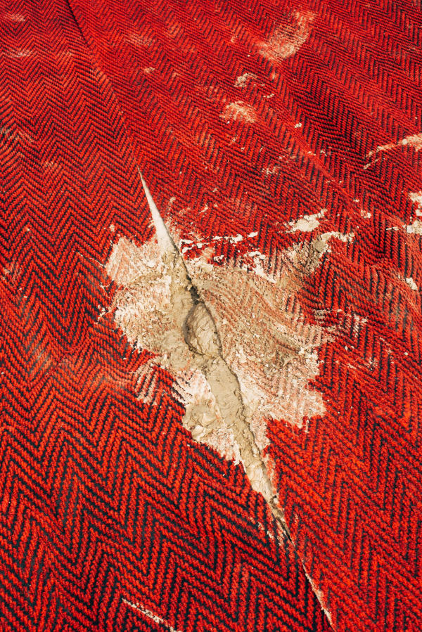 Nikita Teryoshin, DEFEXPO, Lucknow, Uttar Pradesh, India, 2020