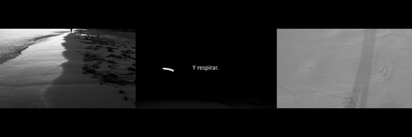 Eliane Adela Padrón, Amanecer (Still 19), 2016