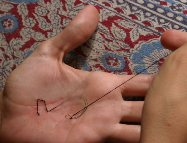 Diana Fonseca, Hobby, 2008