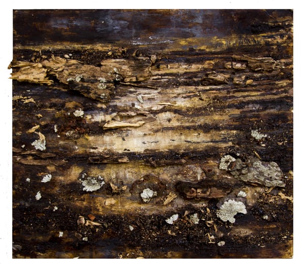 Rosa Cabrera, From "Acotaciones" series, 2018-2019