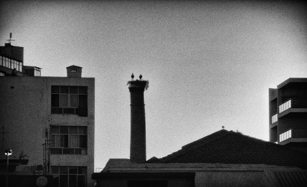 Antonio Margolles, From "Arrival to Failure" series, 2014