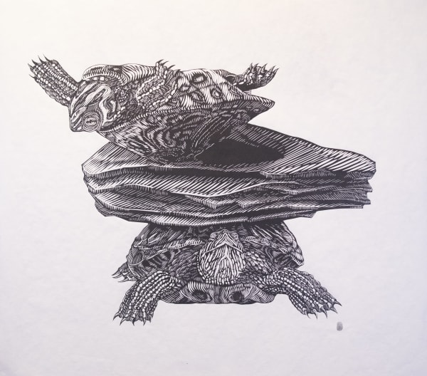 Osmeivy Ortega, The Islands I Invent Everyday (Turtles), 2019