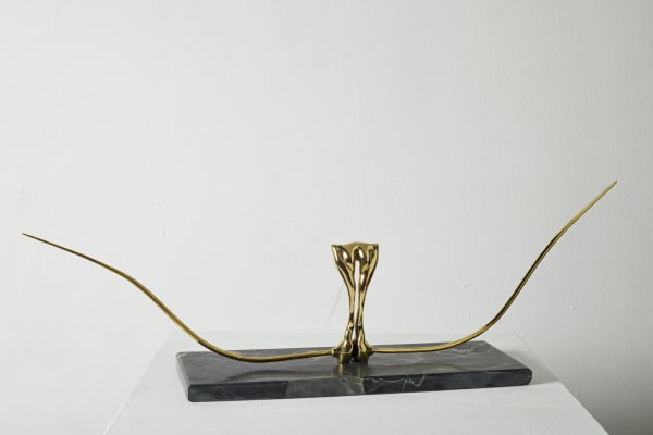 Hildamaría Enriquez, El recurso de Nefertiti II, 2019