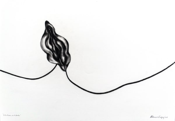 Hildamaría Enriquez, De la línea en el borde