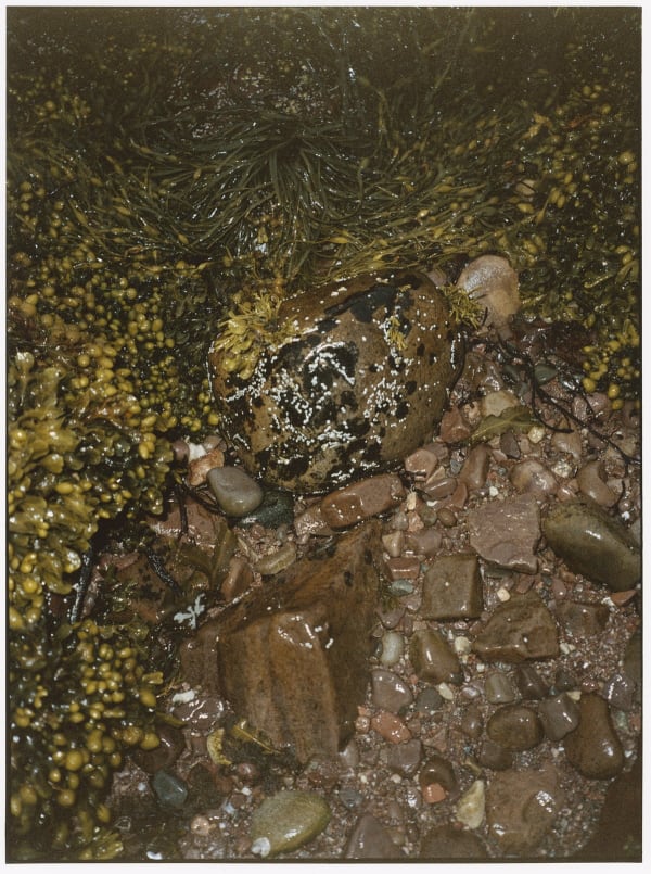 Rid Burman, Conception II , 2022