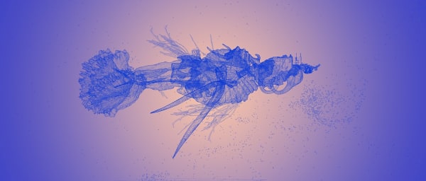 Viraag Desai, Nekton, 3d asstes - Calabash Gourd, Beehive, Flower Coral, Pigeon Bone, Sea Shells, Particle Simulation. , 2020