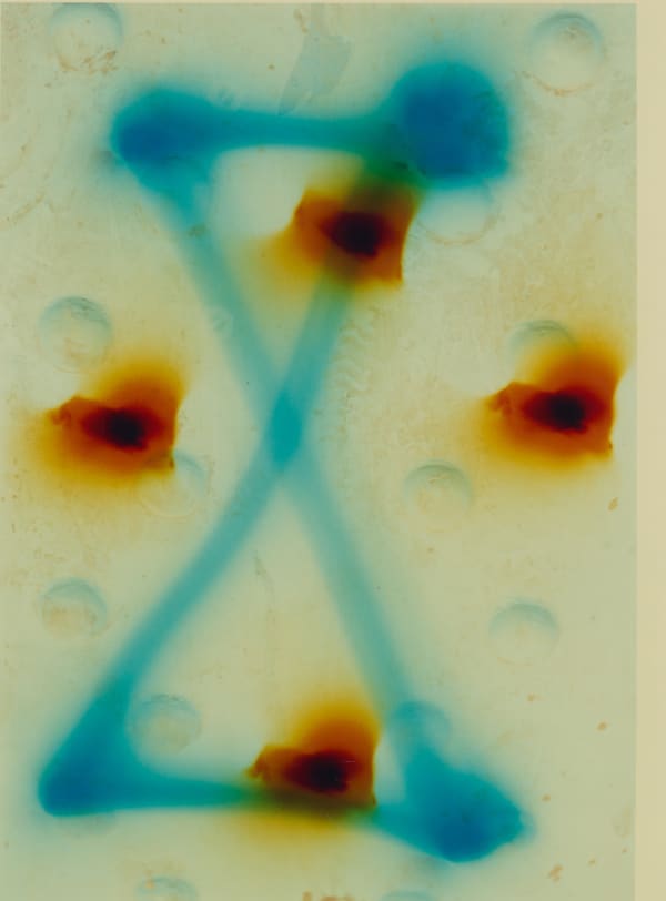 Rid Burman, Drishti, 2022