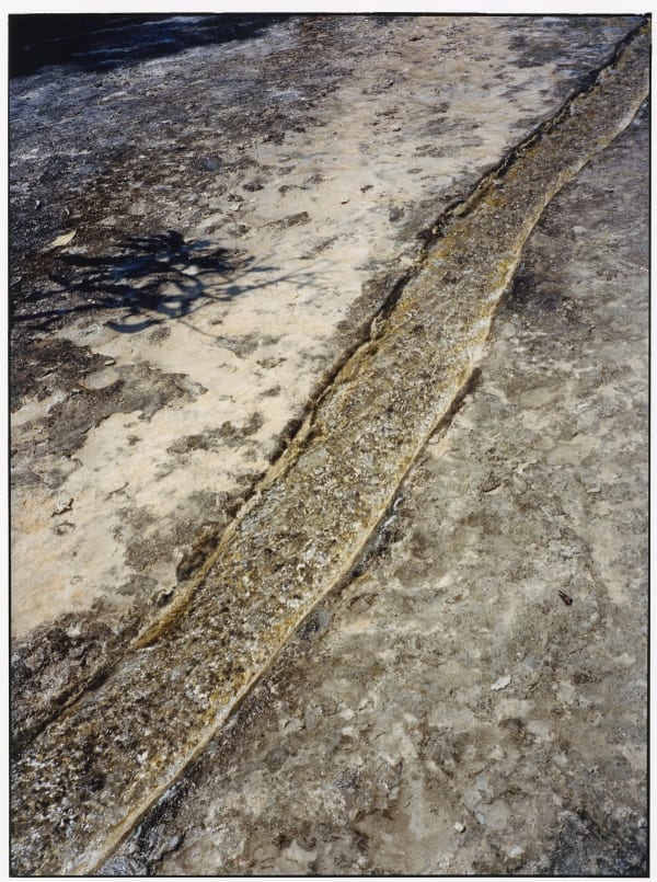 Rid Burman, Cosmos, 2022