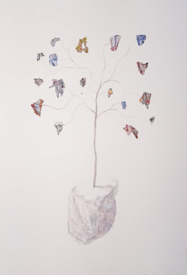 Viraag Desai, Super Bloom, 2020