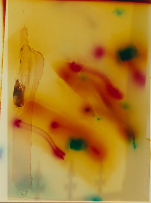 Rid Burman, Drishti, 2022