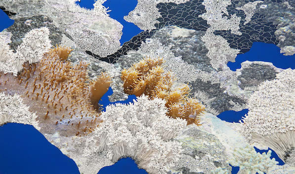 Raphaëlle PERIA, Cartographie sous marine #1, 2020