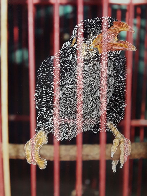 Raphaëlle PERIA, Le marché aux oiseaux #8, 2021