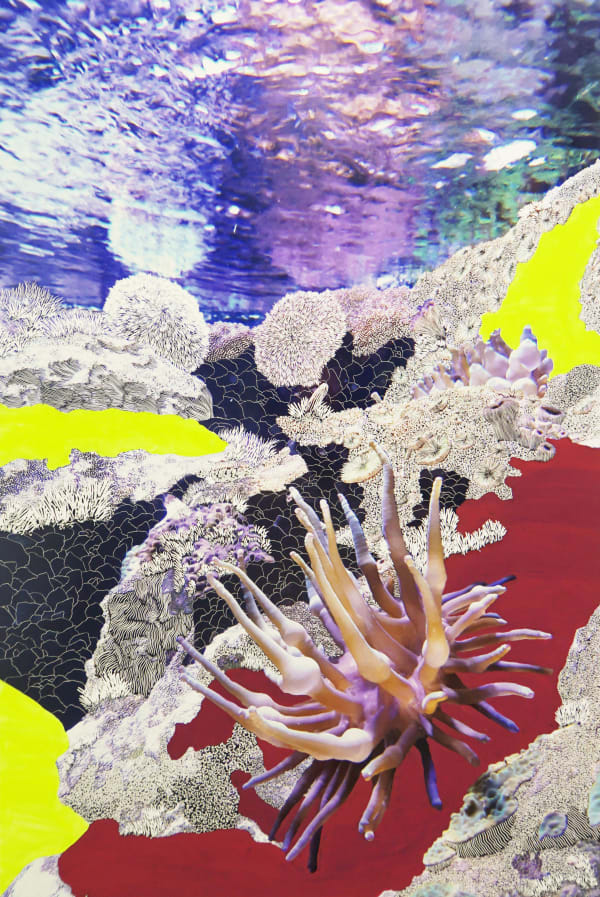 Raphaëlle PERIA, Entacmea, 2020