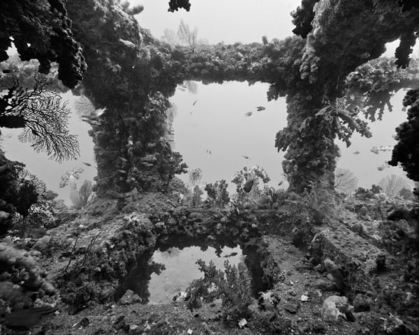 Nicolas FLOC'H, Tateyama, Japon, –23m, 2013